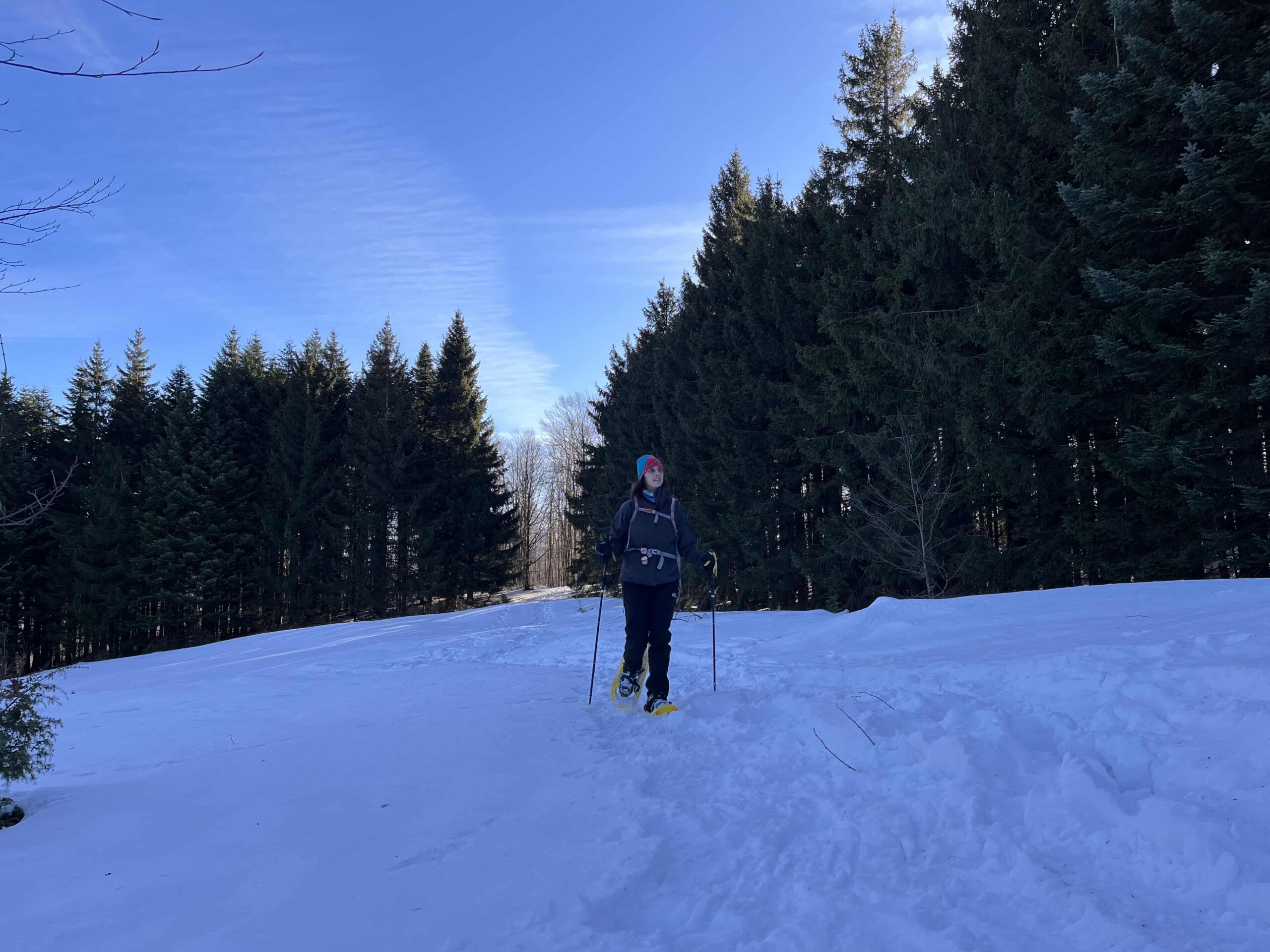 Durante l'escursione