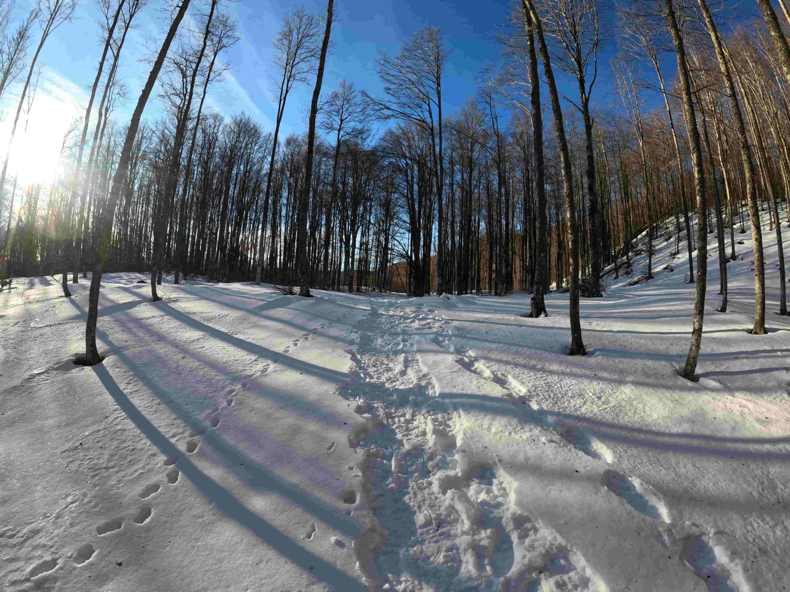 percorso azzurro Boscoreale