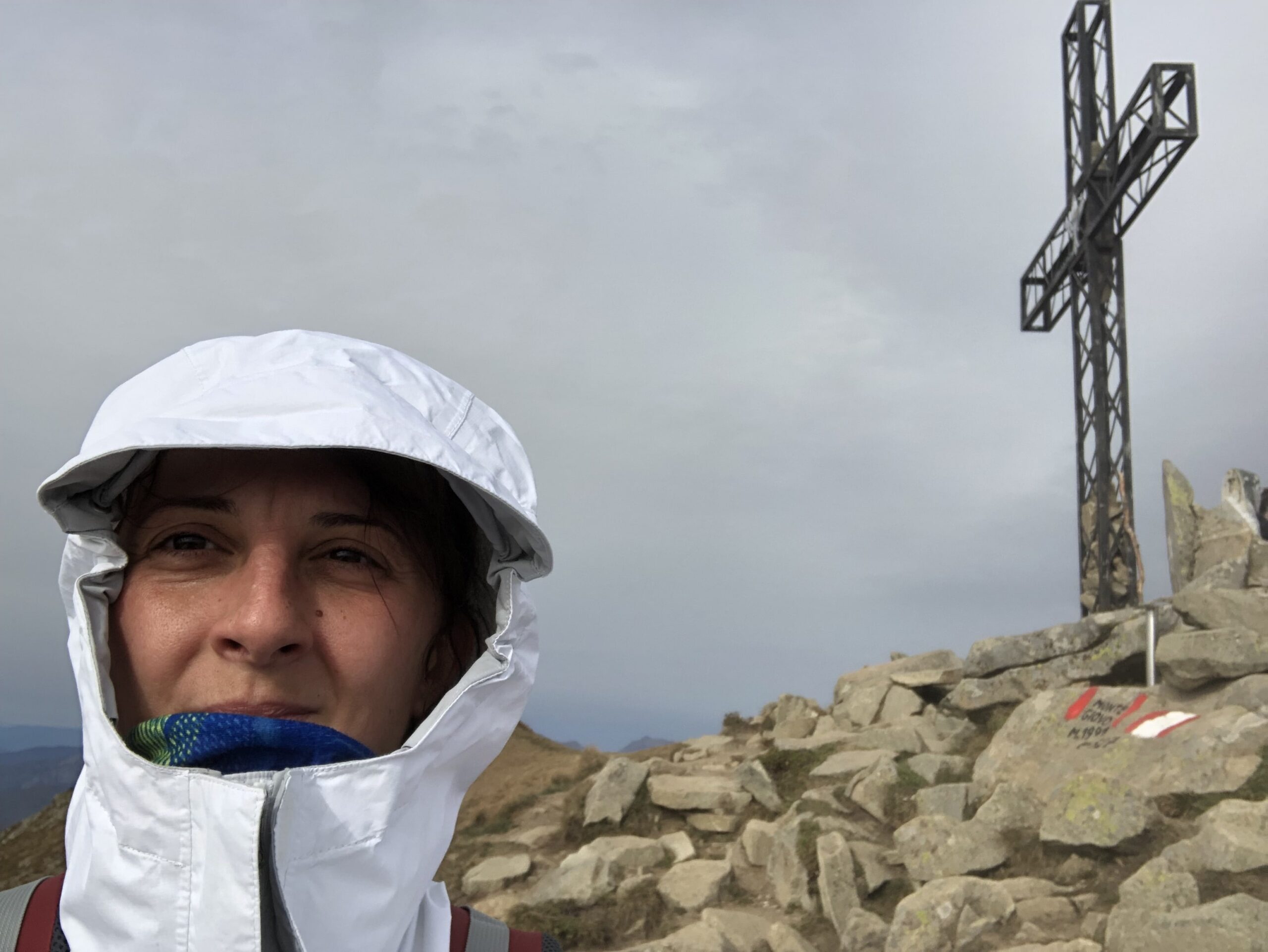 Sele in vetta al Monte Giovo